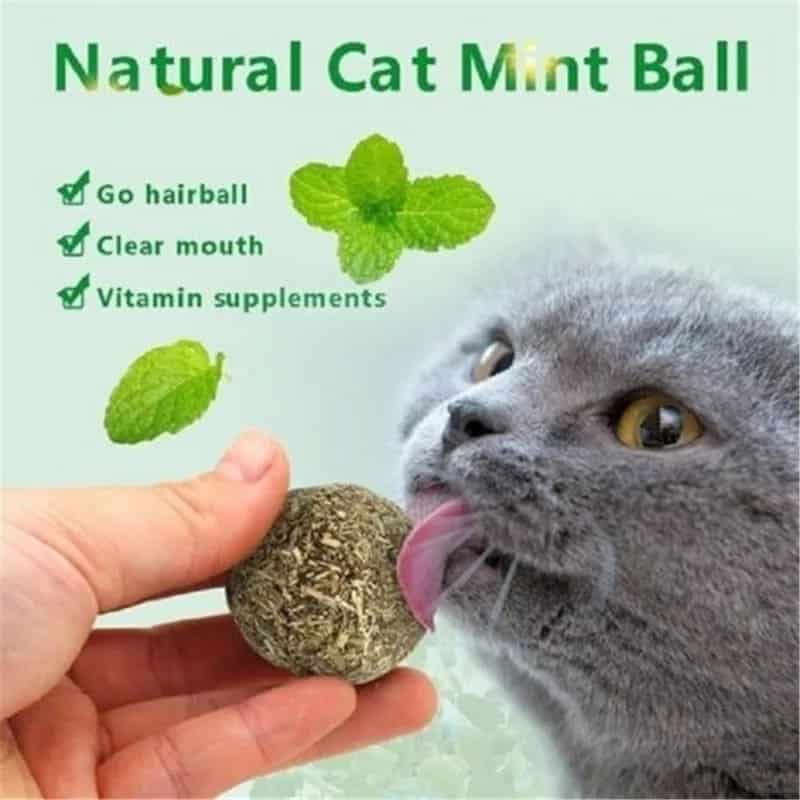 Pet Hahale Catnip Ball Safety Healthy Cat Mint Cats Home Chasing Game Toy Products Clean Teeth The Stomach