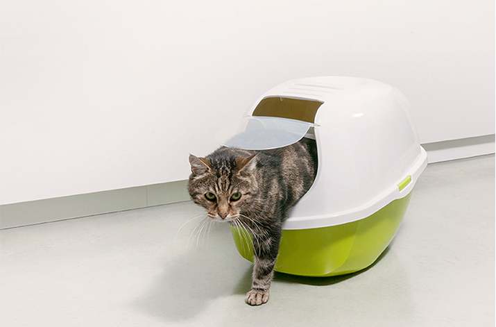Moderna Closed Cat Litter Box -- Lemon Yellow (Inside Dhaka Only)