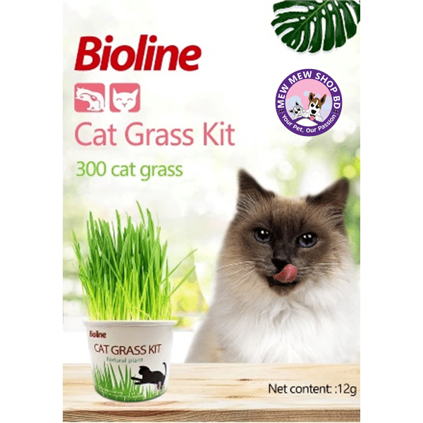 Bioline Cat Grass Kit || simple planting nutritious grows fresher cat grasskit