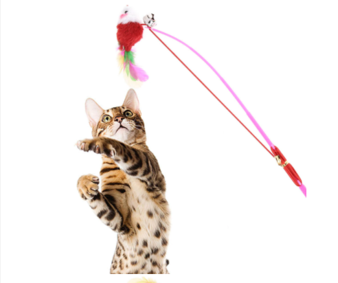 Mouse Teaser Colourful Cat Toys || Mouse Teaser Toy for Cat