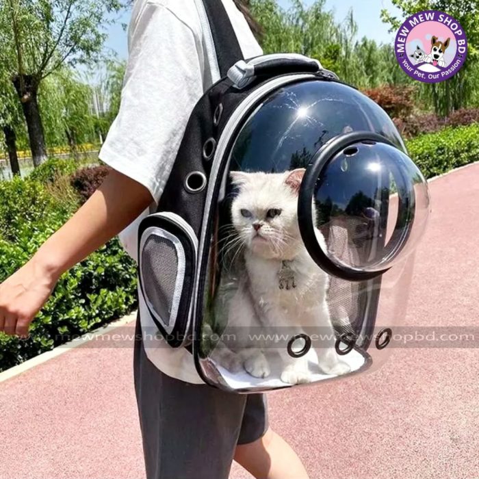 Astronaut Window Capsule Transparent Backpack