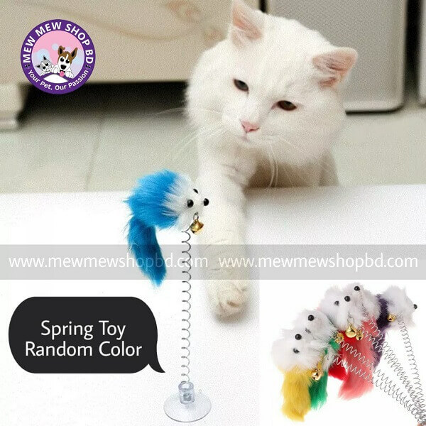 Cat Long Spring Toy with Mouse