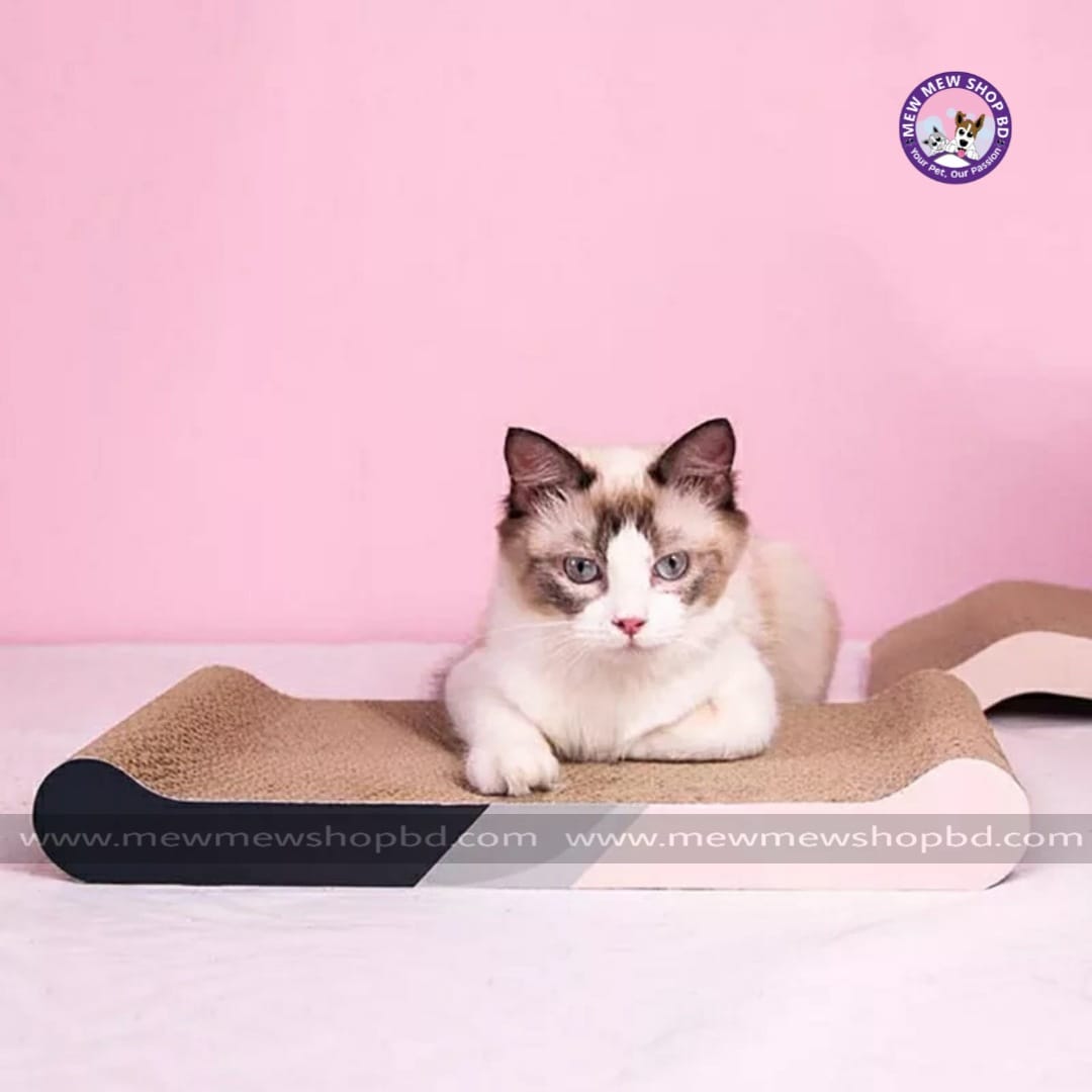Sofa Shape Pet Cat Scratcher Board