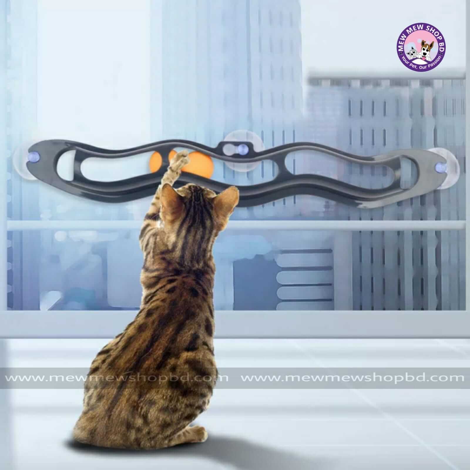 Pet Cat Ball Toy Sucker Track With Balls Tunnel toy