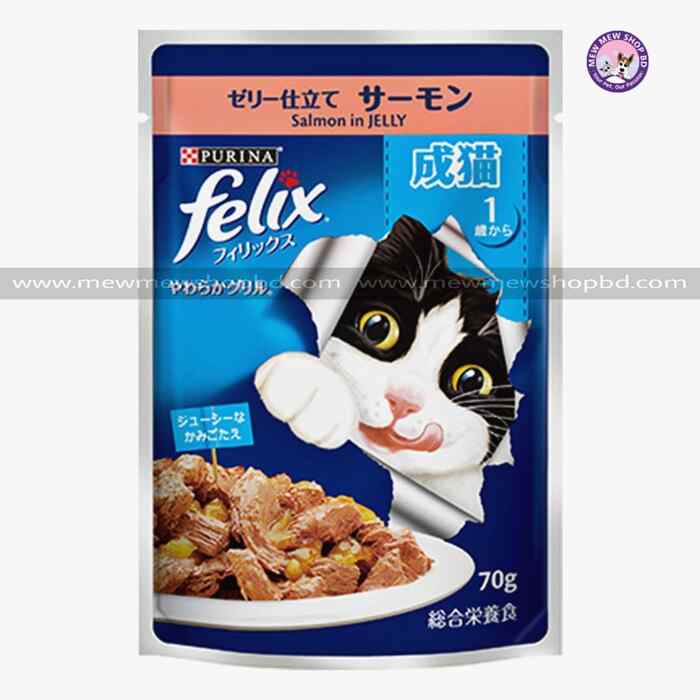 Felix Adult Salmon in Jelly Wet Cat Food Pouch 85g