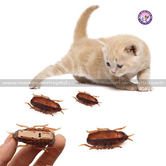 Pet Cat Crawl Vibration Cockroach Toys-(1Pcs)