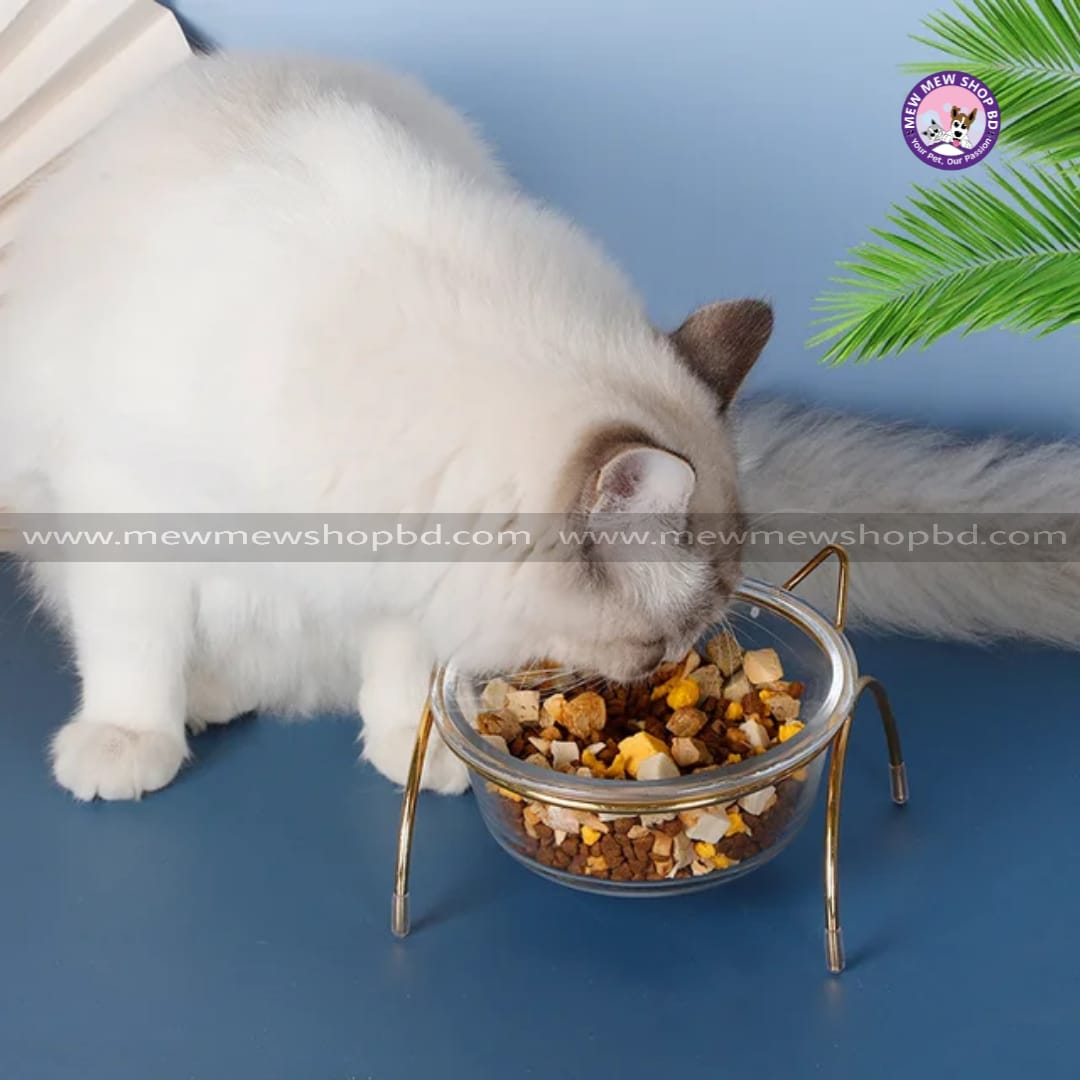 SINGLE Golden Colored Stainless Steel  Ceramic Clear Glass  Food Bowl for Cat