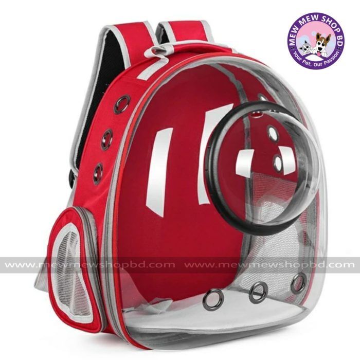 Astronaut Window Capsule Transparent Backpack