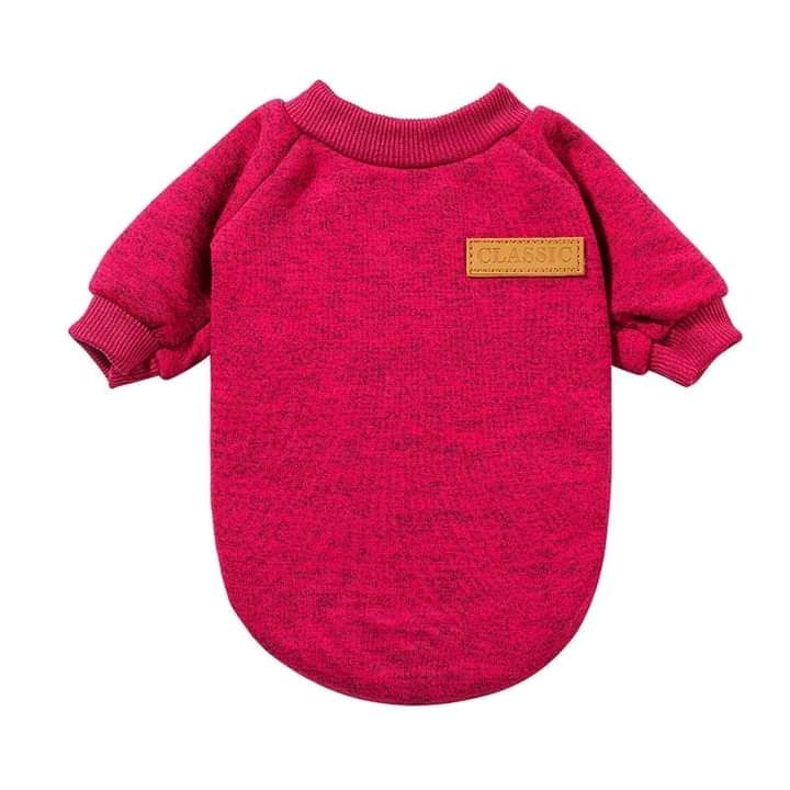 Classic Cat Sweater || Full Sleeve Dress ( No Exchange )