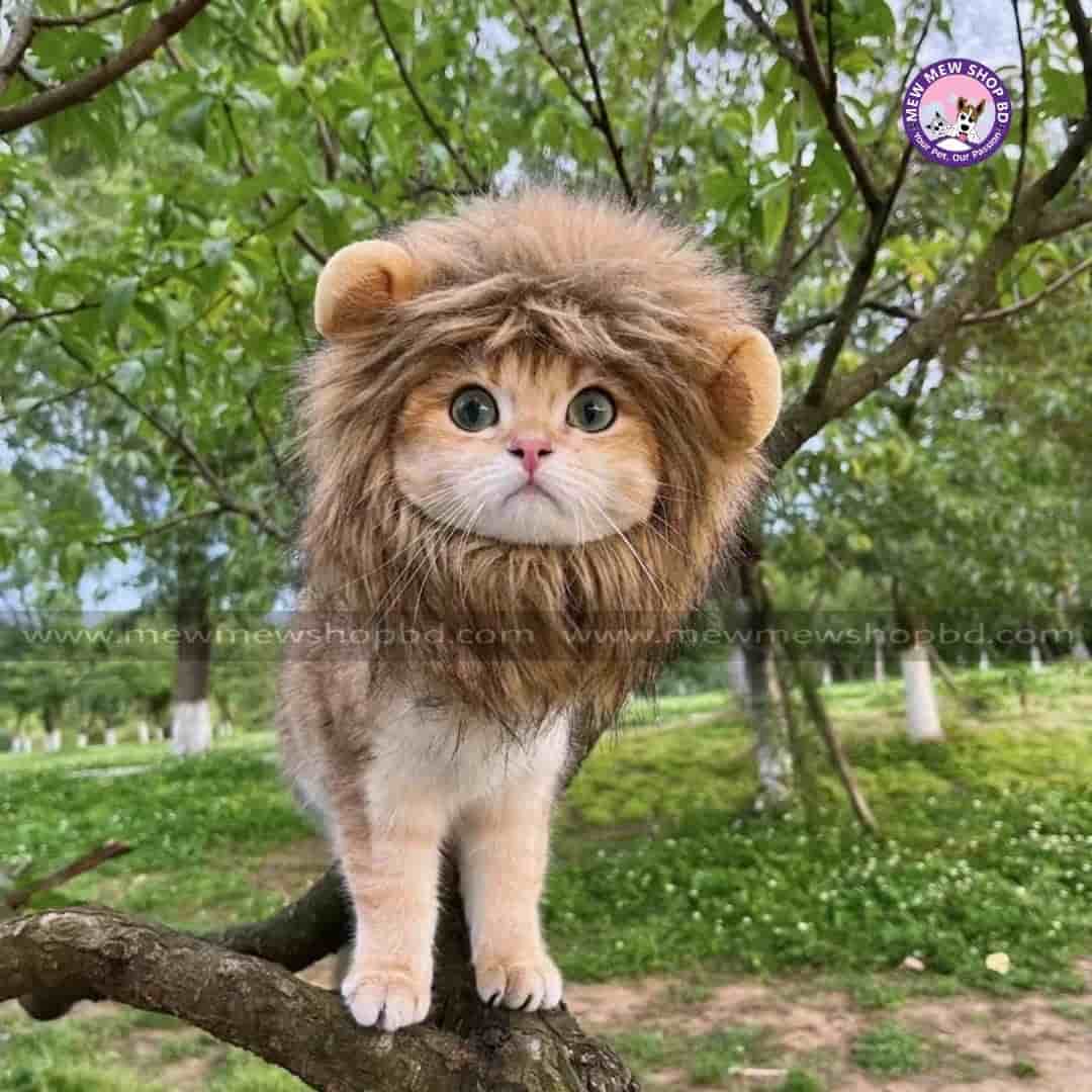 Funny Pets Clothes Cap Cute Cat Wig Lion Costume Cosplay Pet Cat Hat with Ears Fancy Party