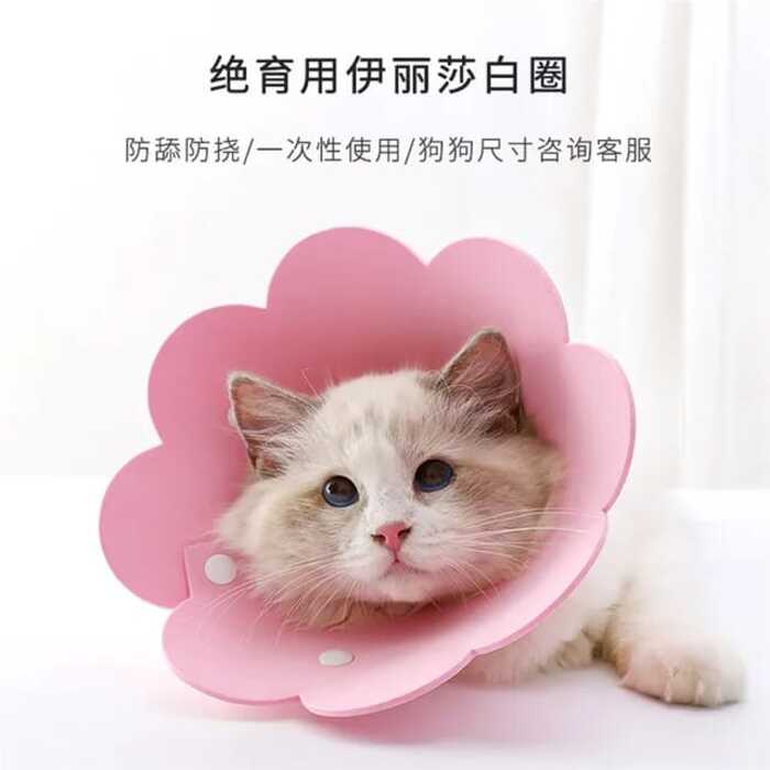 Sunflower Shape Colorful Adjustable Ecollar / Sergical Collar for Pet Cat & Puppy