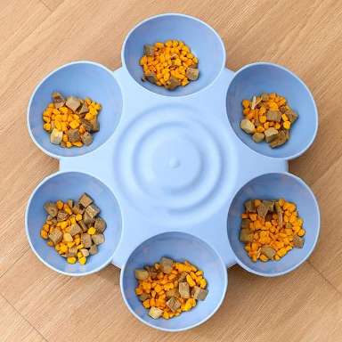 Cat Food Bowl and Water Bowl Feeder Kitten with 6 Food Grids for Pet Cat