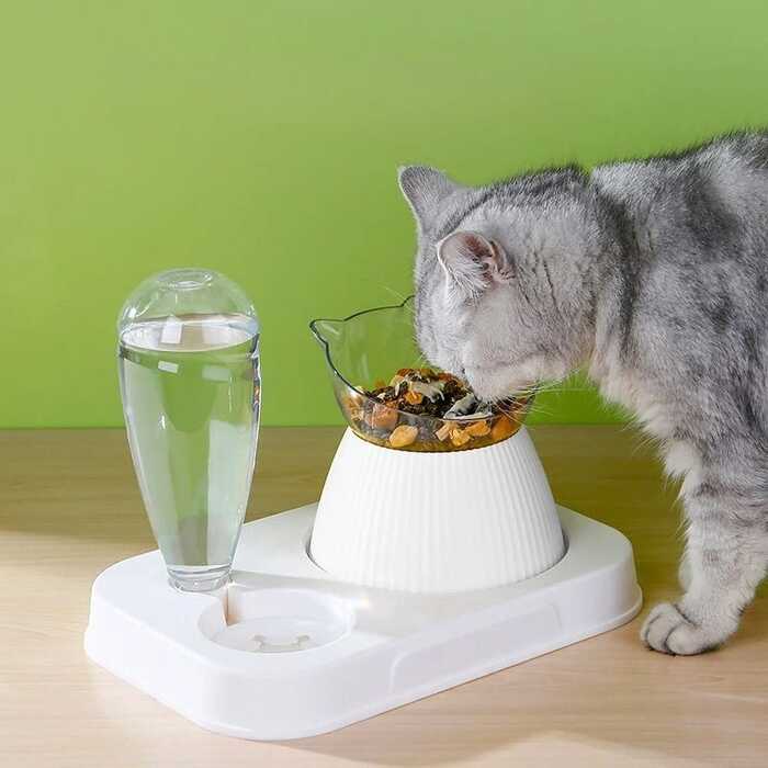 Cat Ear Design Drinking Bottle with Anti-choke Bowl & Slow Food Bowl for Pet Cat & Puppy