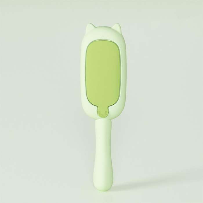 Two Way Push Pull Design Reusable Pet Fur Remover Brush