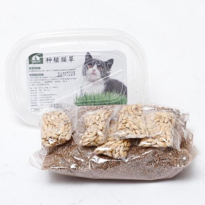 50g Cat Grass Seed with Kit Including Plastic Storage Box