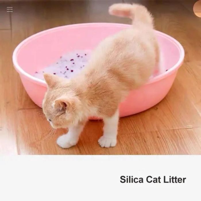 Bests Pet Crystal Silica Cat Litter 3.8L
