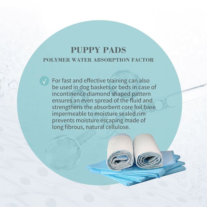 Bioline Super Absorbent Pet Cat & Puppy Training Pee Pad 1pcs