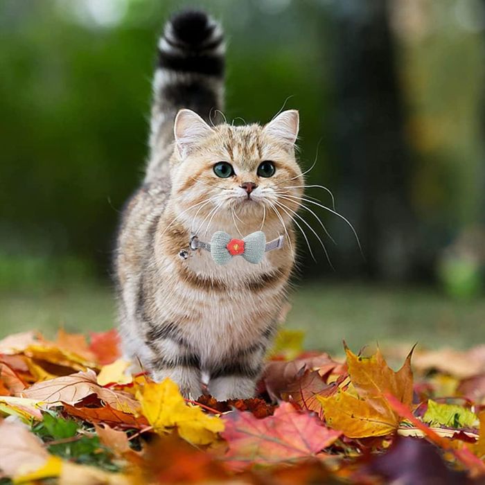 Random Coloured  Floral Printed Adjustable Bow Collar for Pet Cat
