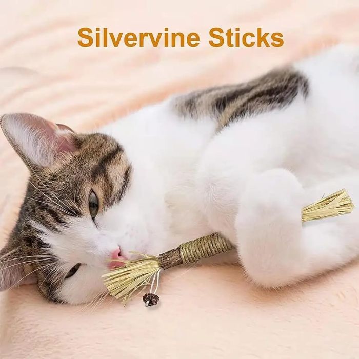 Pet Cat Toys Silvervine Chew Catnip Stick with Hemp Rope 1pcs