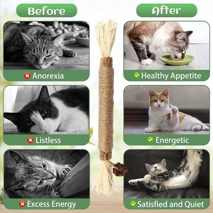 Pet Cat Toys Silvervine Chew Catnip Stick with Hemp Rope 1pcs