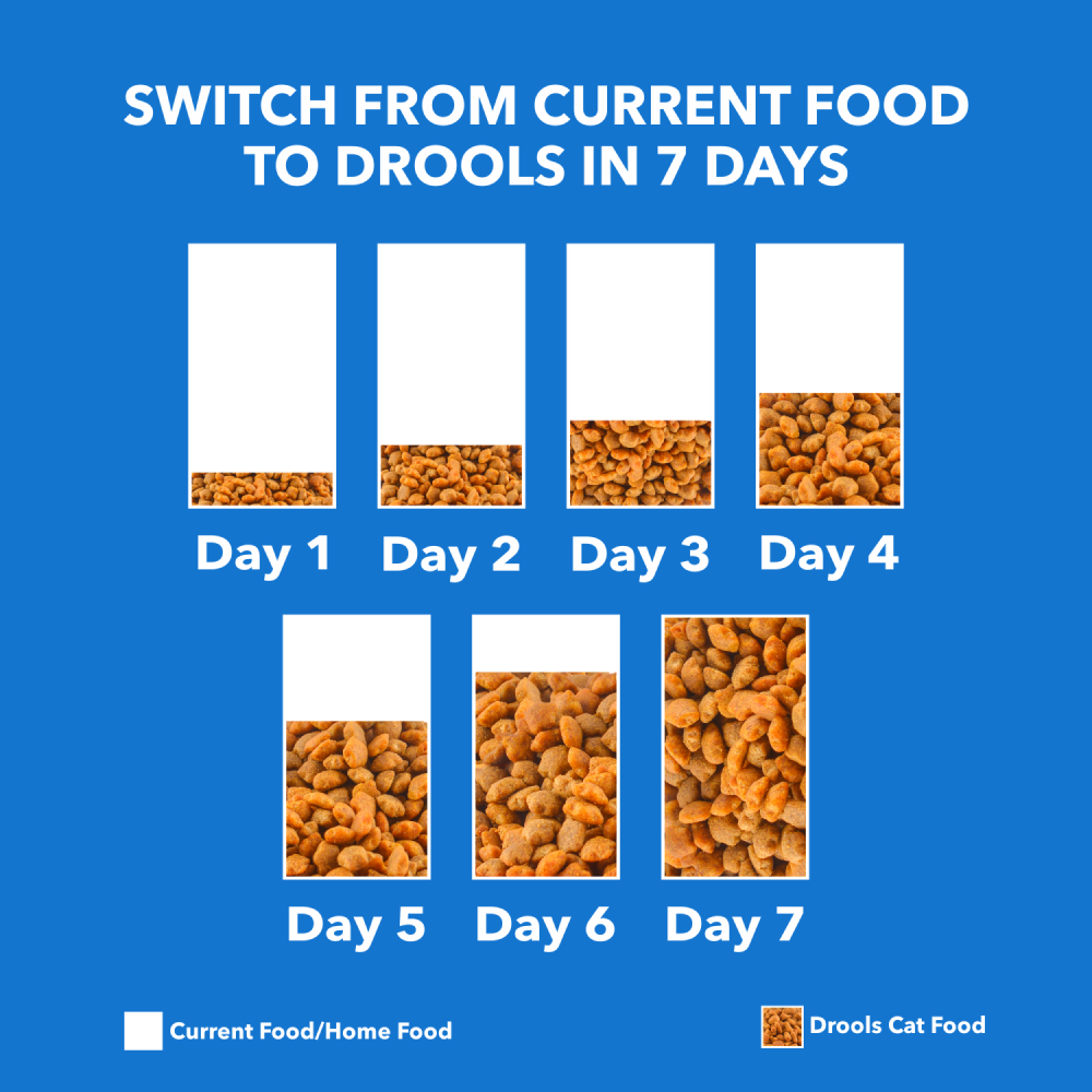 Drools Adult Real Chicken For Cat 3 kg