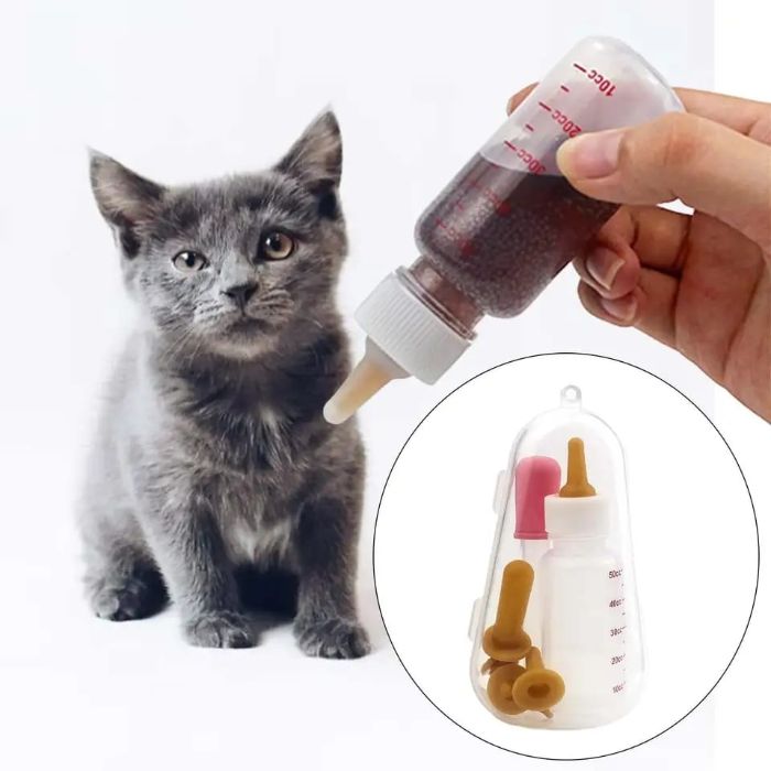 Pet Cat & Dog Baby Feeding Bottle & Dropper Feeder Set with Dustproof Storage Box