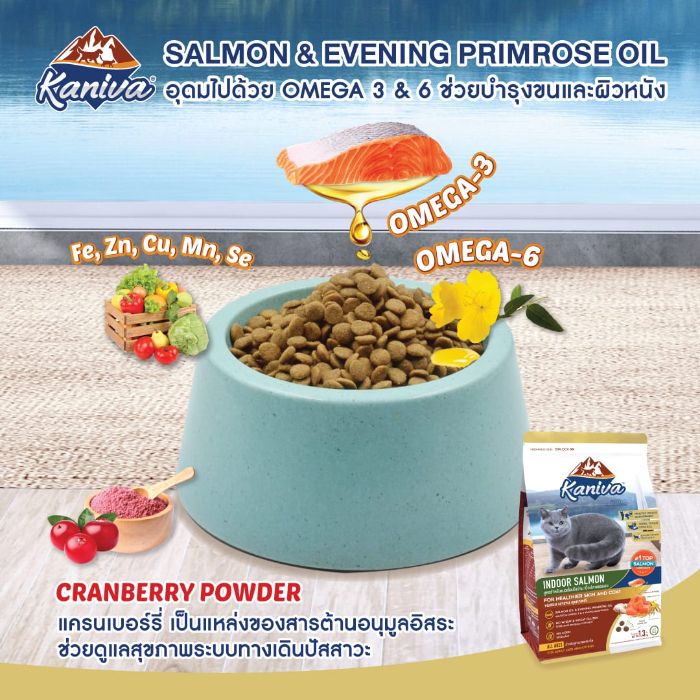 Kaniva Indoor Salmon Formula Cat Food