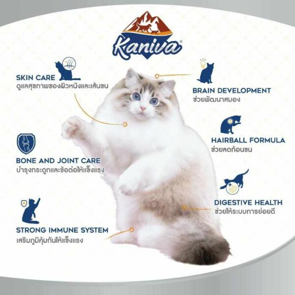 Kaniva Skin & Coat Tuna, Ocean Fish & Rice Cat Food for Adult & Kitten