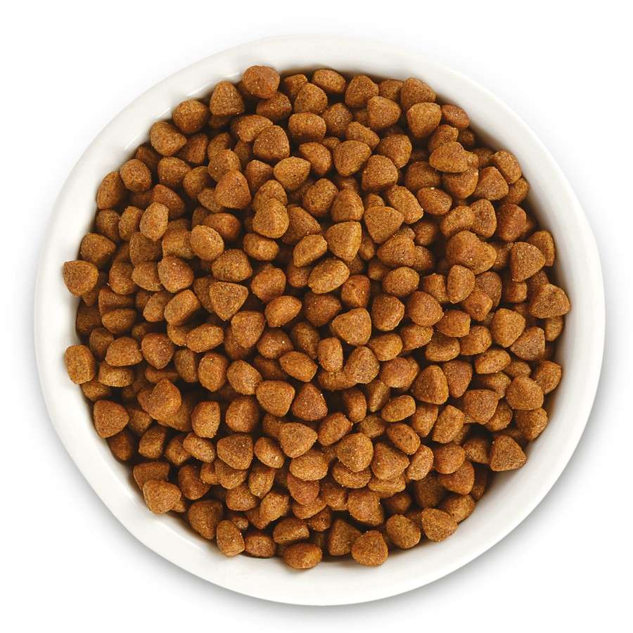 Jungle Junior Kitten Cat Food Chicken (2-12 month)