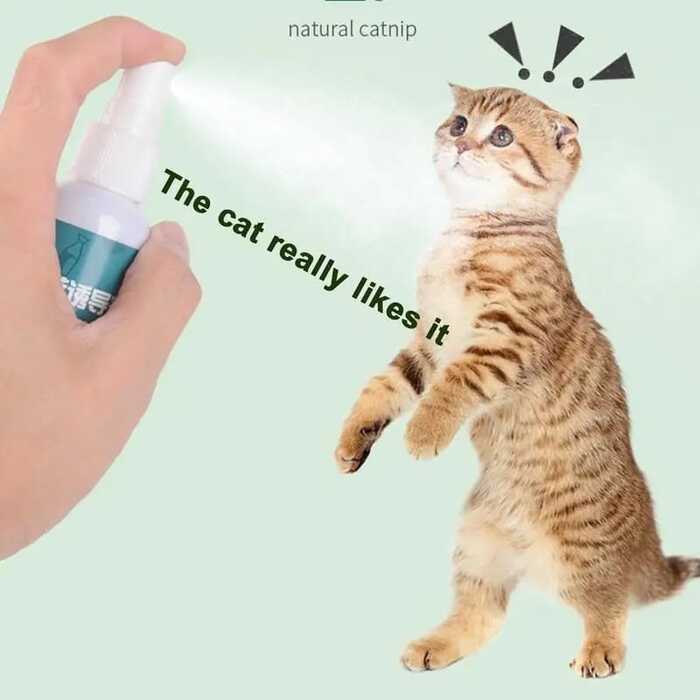 50ml Cats Catnip Spray Catnip Inducer Spray Natural Safe Healthy Cat Mint Pet Training Tool For Indoor Cats