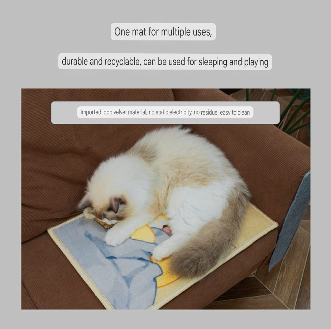 Premium Decorative painted cat scratcher board to protect furniture with Adhesive Tape