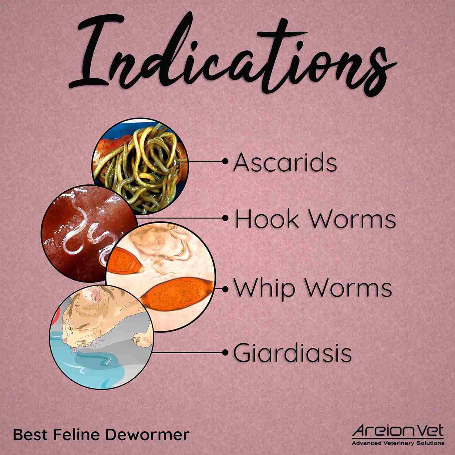 Areion Vet Feli-D (Feli D) Deworming Syrup for Kitten 15ml