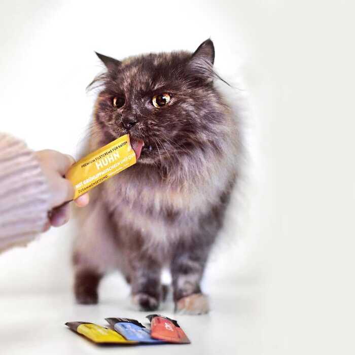 Moonlight Dinner Fillet Cream Chicken – Green Lips – Quinoa 4×15g