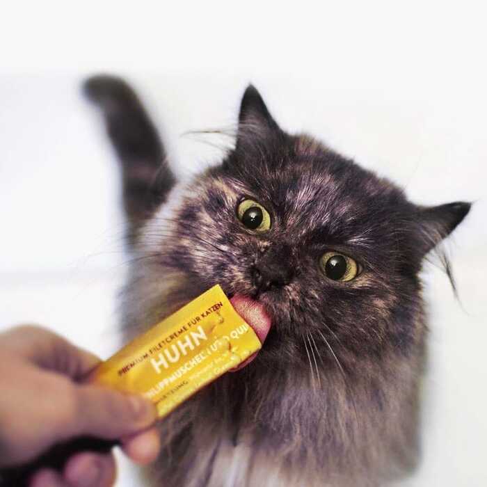 Moonlight Dinner Fillet Cream Chicken – Green Lips – Quinoa 4×15g