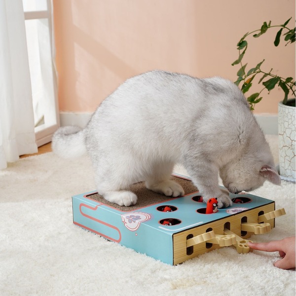 Whack A Mole Game Cat Toy Pet Stuffed Toys For Cats Accessories Spring Stick Interactive Toy With Cantip Cat Scratcher