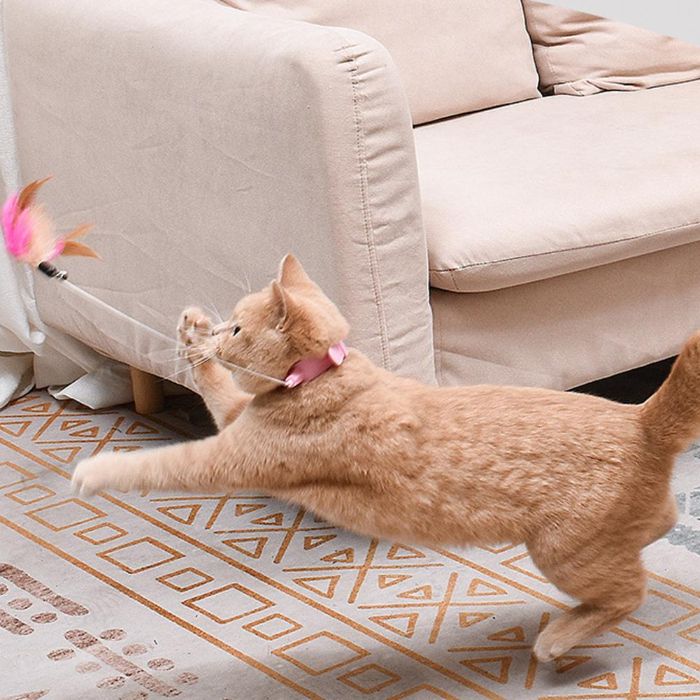 Cat Collar Teaser String Toy Collar Self-stimulating to Relieve Boredom and Bite-resistant