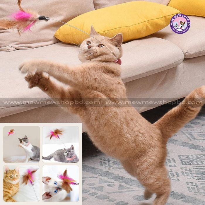Cat Collar Teaser String Toy Collar Self-stimulating to Relieve Boredom and Bite-resistant