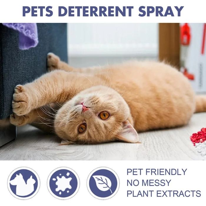 YEGBONG Cat Scratch Deterrent Spray Orange Scent, Natural Furniture Protector 50ml