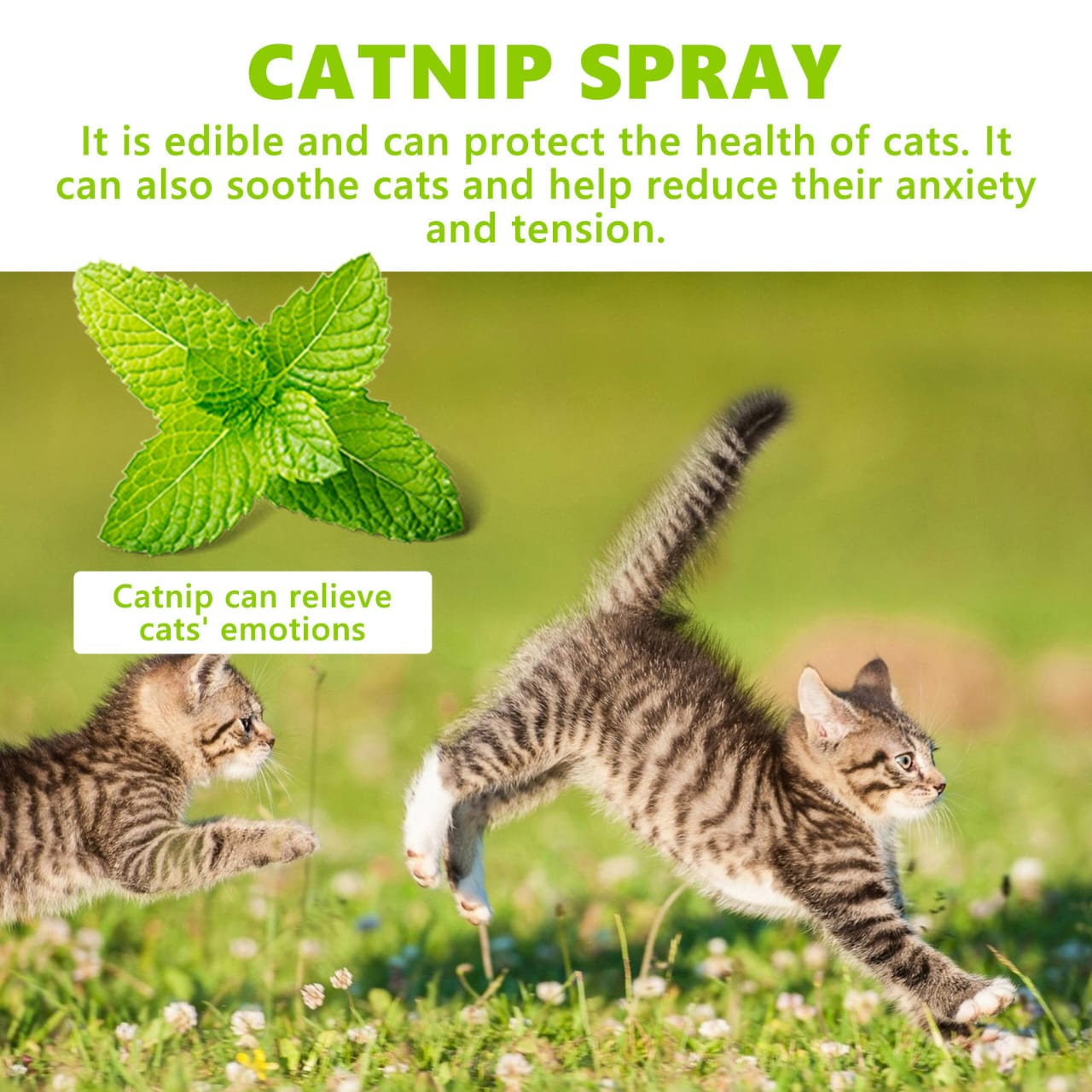 YegBong Catnip Spray/Cat Training Spray 100ml