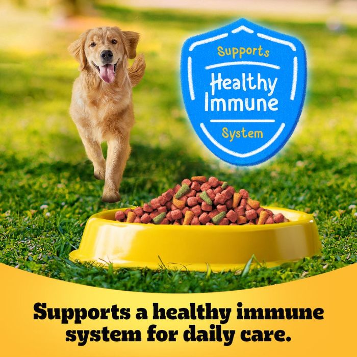 Pedigree Complete Adult Dry Dog Food Beef and Vegetables 1.5kg