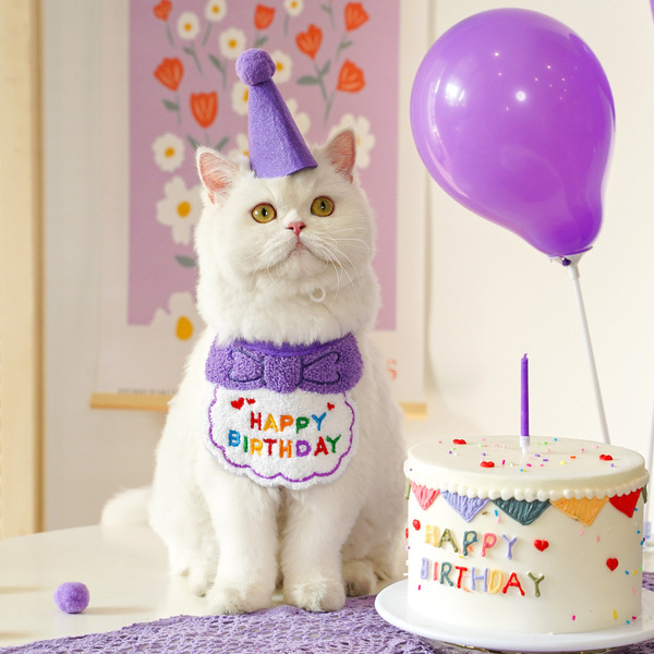 Cute Pets Birthday Hat with Dress up Bib Adjustable Colorful Necklace Cats ( No Exchange )
