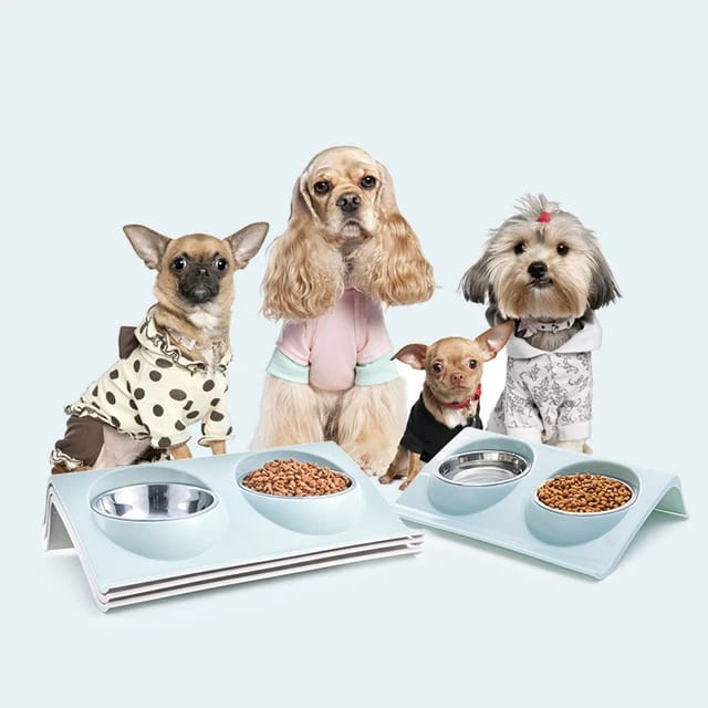 Generic Double Pet Food Bowls for Dogs and Cats