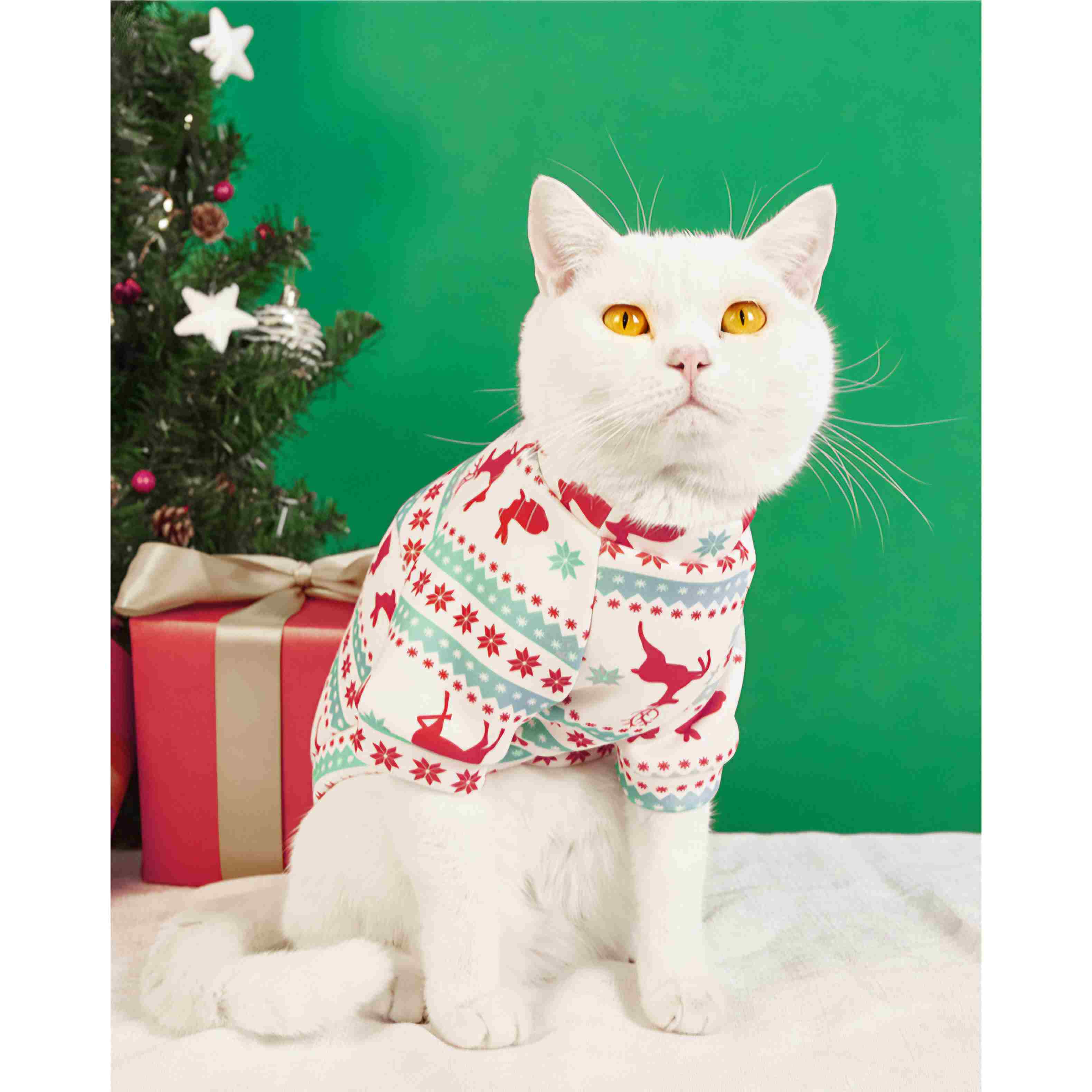 Full Sleeve Super Premium Pet Cat Dress / Sweater for Winter ( No Exchange )