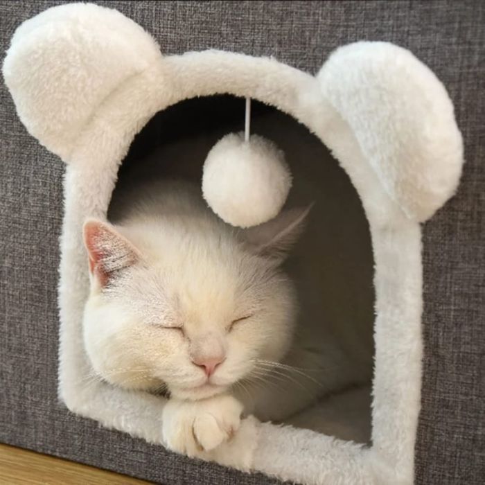 Cartoon Design Foldable Double Decker Pet Cat & Dog Stool House with Scratching Pad