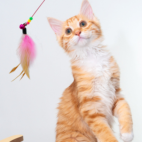 Cat Toy Feather String Cat Teaser Toy