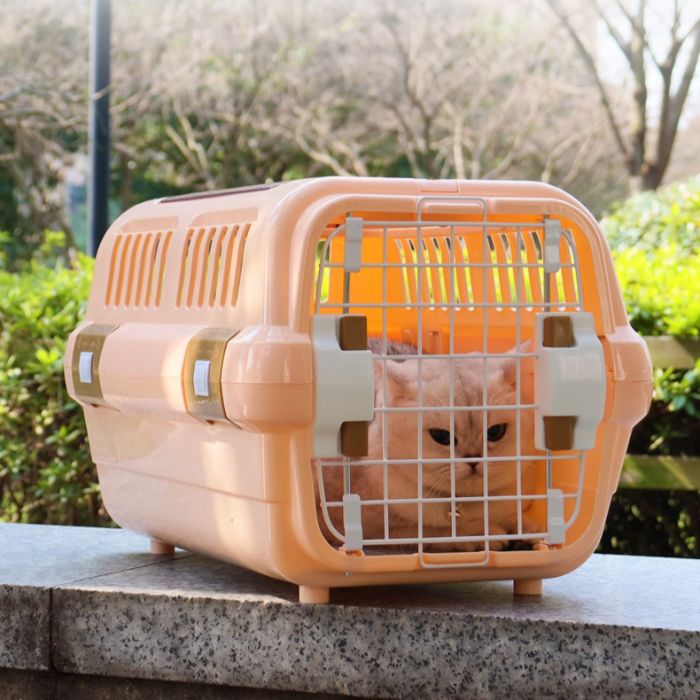 Multi Ventilation Super Premium Cat Carrier Box with Transparent Top