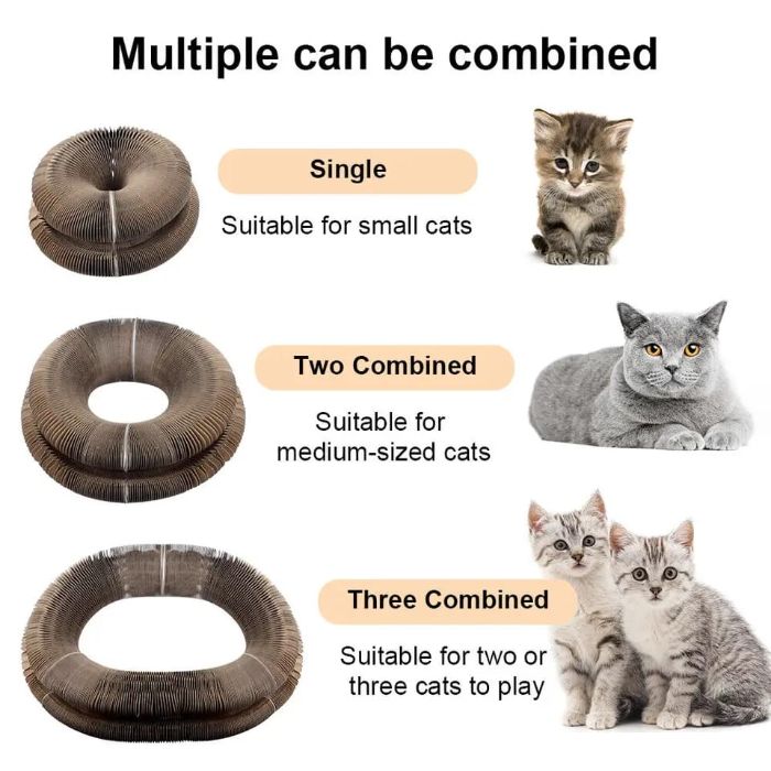 Magic Organ Cat Scratcher Board Round Corrugated Scratching Post Toys for Cats Grinding Claw Cat