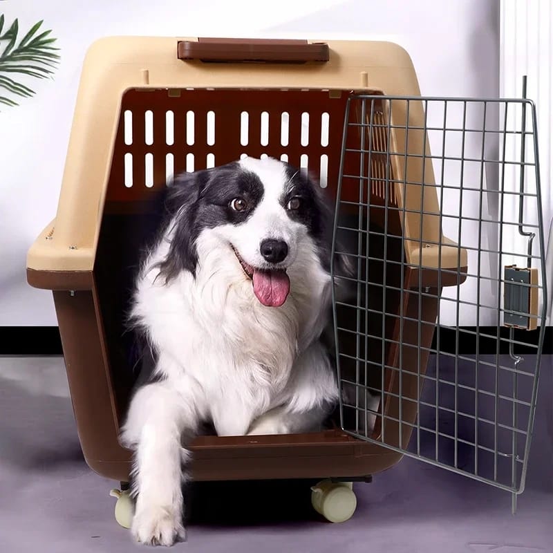 Trolley type Largest Sized Carrier Box for Dog & Animal