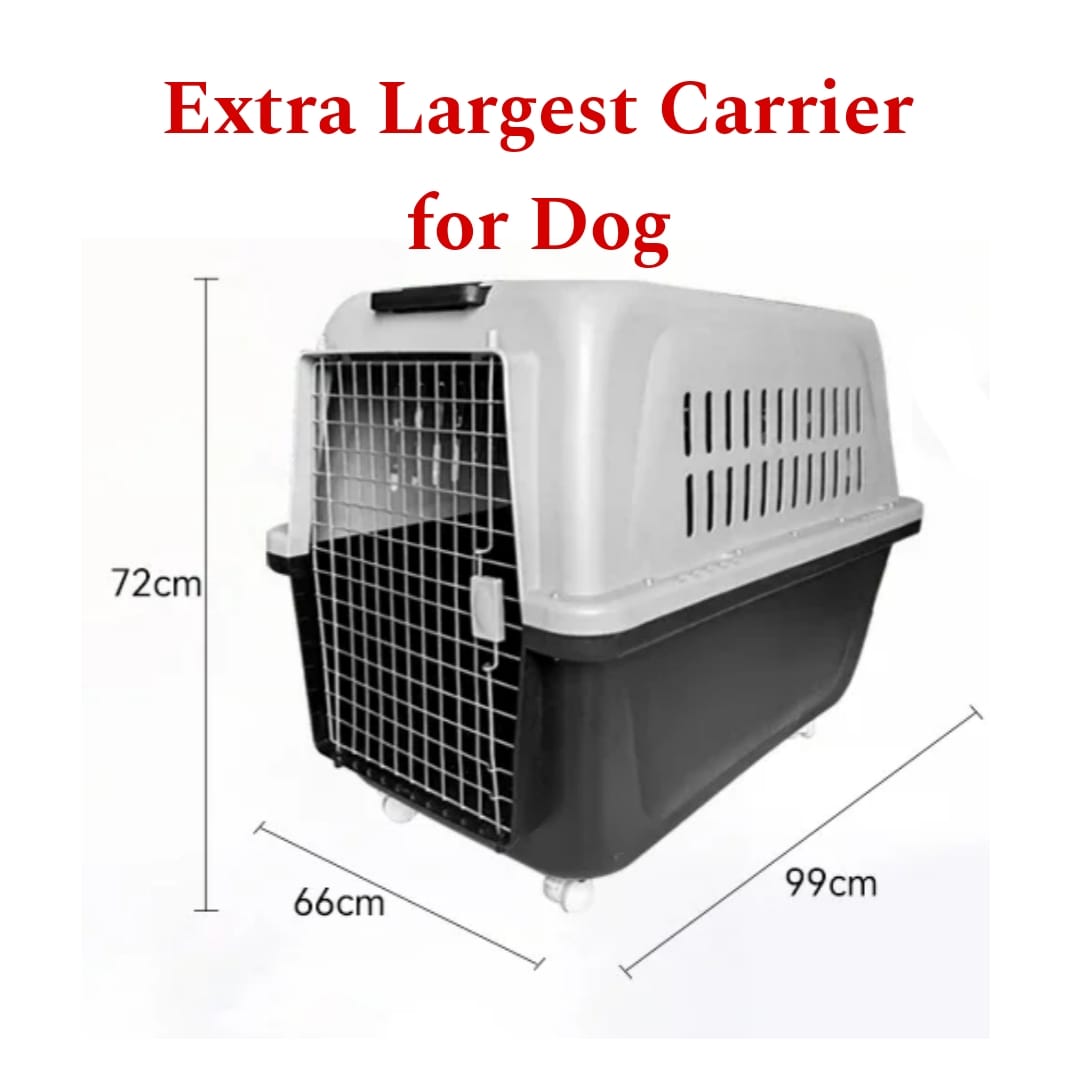Trolley type Largest Sized Carrier Box for Dog & Animal