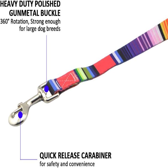 Super Premium Rainbow Adjustable Pet Dog & Puppy Collar with Leash